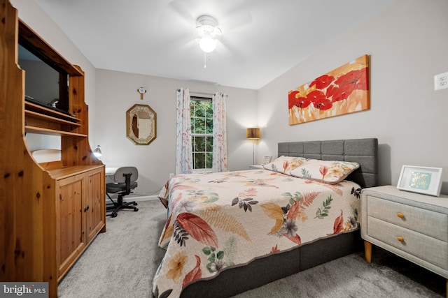 5341 Yellow Turtle Pl, Woodbridge, VA 22193 - bedroom featuring carpet floors and baseboards