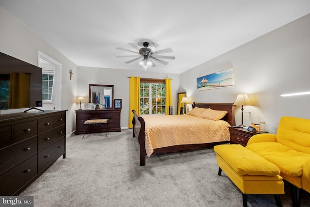 5341 Yellow Turtle Pl, Woodbridge, VA 22193 - bedroom with carpet and ceiling fan