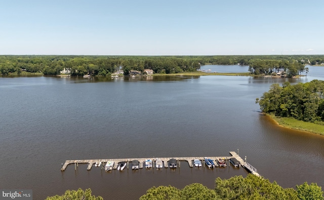 11020 Augusta Ln Unit 3, Berlin, MD 21811 - water view