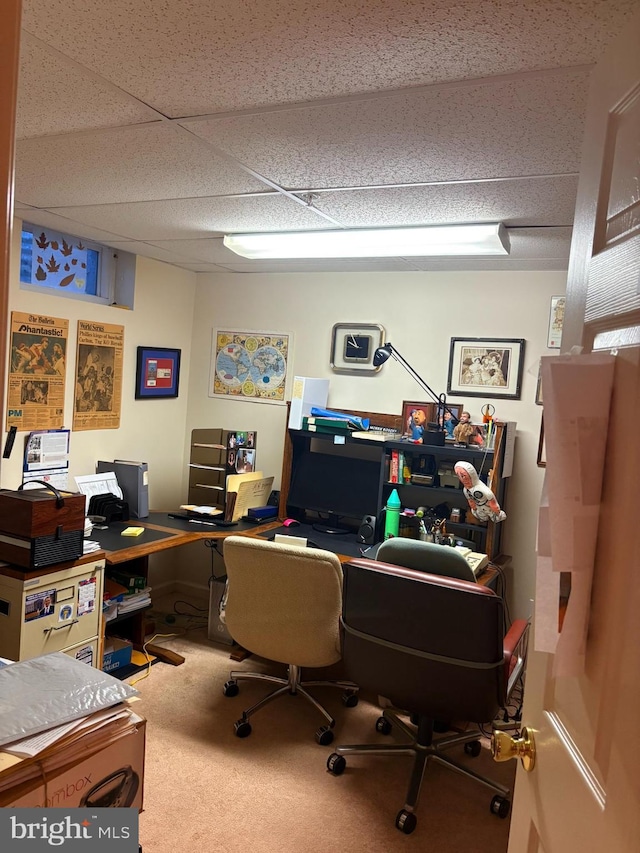 3108 Centennial Unit 310, Warminster, PA 18974 - office area featuring a drop ceiling and carpet floors