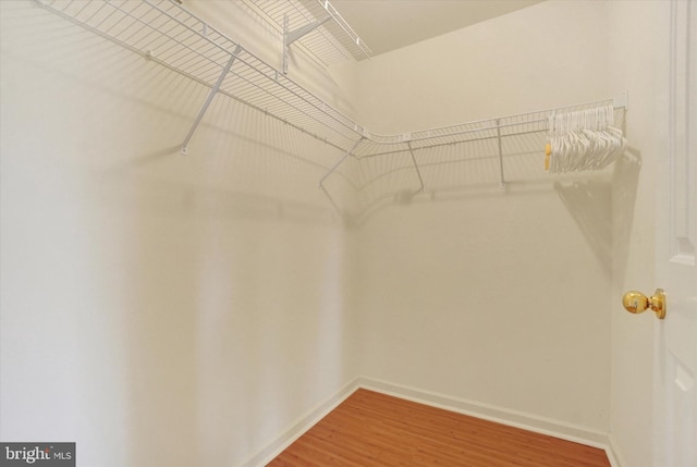 2325 Slater Hill Ln E Unit 39, York, PA 17406 - walk in closet featuring wood finished floors