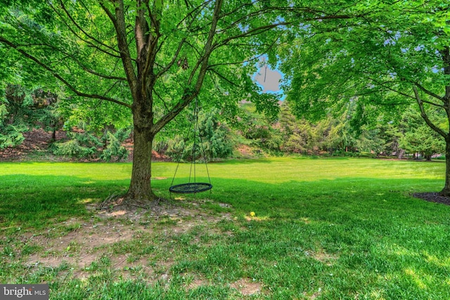 608 Budleigh Cir, Lutherville Timonium, MD 21093 - view of grassy yard