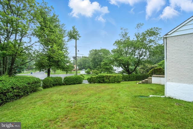 2816 Denley Pl, Silver Spring, MD 20906 - view of grassy yard