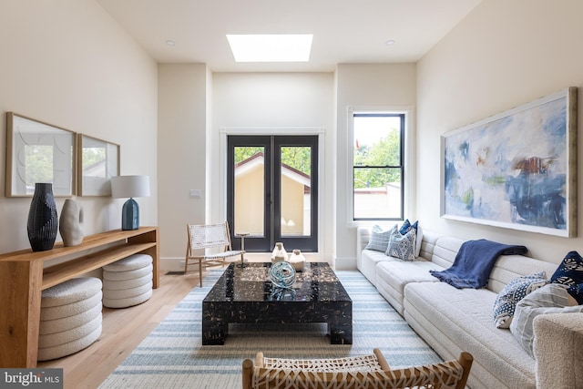 441 Q St NW Unit 2, Washington, DC 20001 - living room featuring a skylight and wood finished floors
