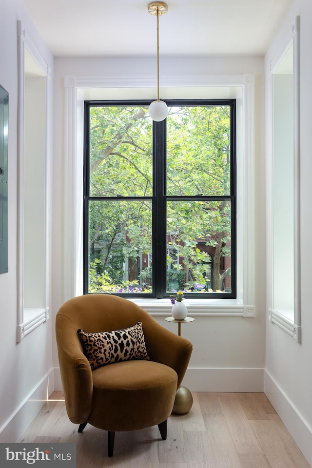 441 Q St NW Unit 2, Washington, DC 20001 - sitting room with plenty of natural light and light wood-type flooring