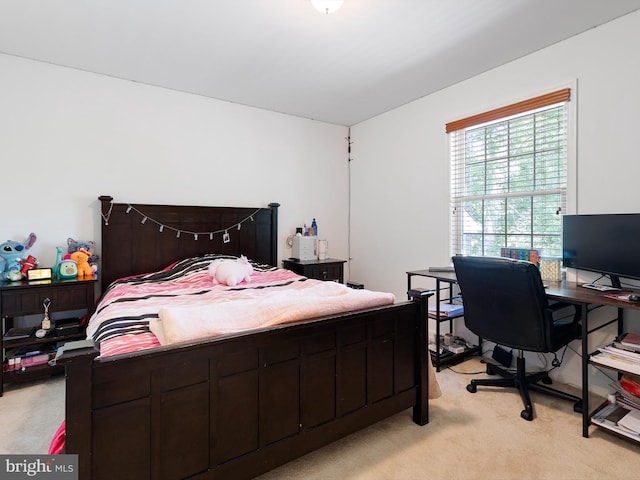 5185 Turkey Point Road, North East, MD 21901 - bedroom featuring light colored carpet and an office area