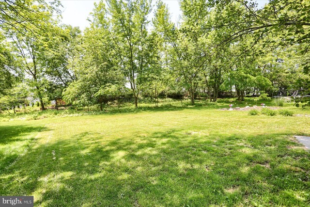 6483 Heatherfield Way, Harrisburg, PA 17112 - view of grassy yard
