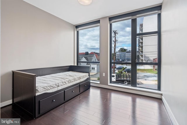 1320 Fenwick Ln Unit 201, Silver Spring, MD 20910 - bedroom with floor to ceiling windows, baseboards, dark wood-type flooring, and a city view