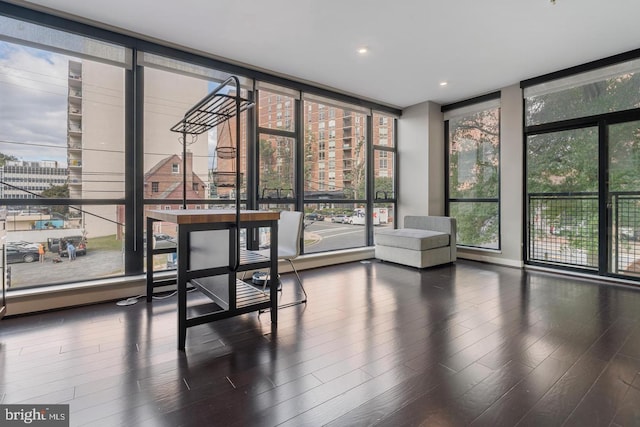 1320 Fenwick Ln Unit 201, Silver Spring, MD 20910 - unfurnished sunroom with plenty of natural light