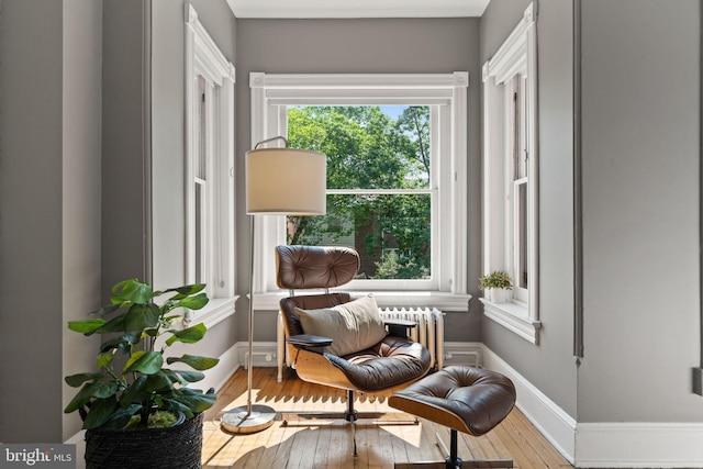 111 8th St SE, Washington, DC 20003 - living area with radiator heating unit, hardwood / wood-style floors, and baseboards