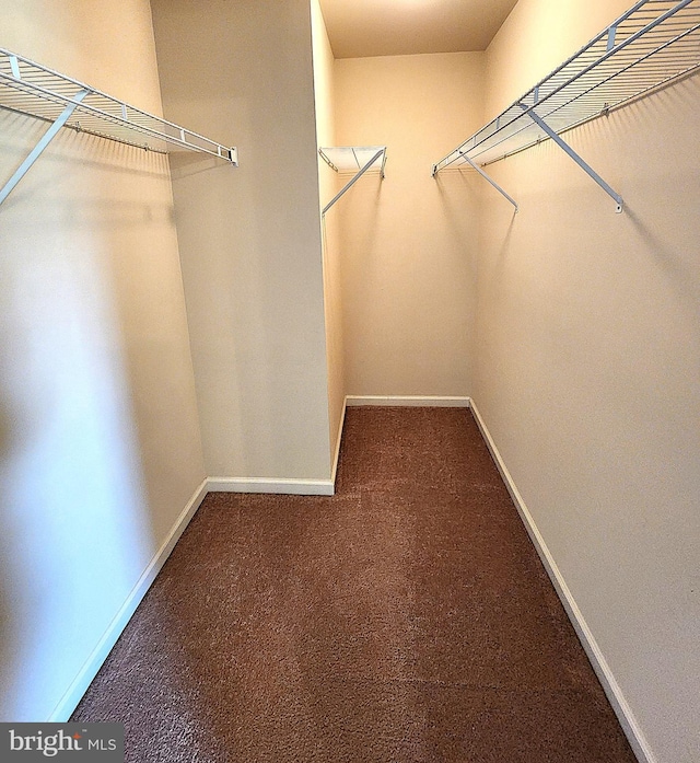 10361 Bridle Ct, Hagerstown, MD 21740 - walk in closet featuring carpet