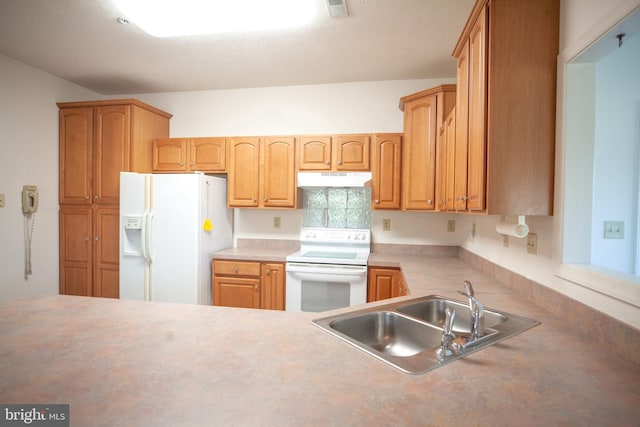 301 Sunbrook Ln Unit 89, Hagerstown, MD 21742 - kitchen with white appliances, a sink, under cabinet range hood, and light countertops