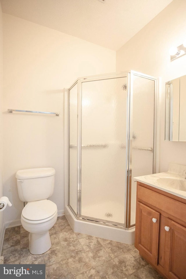 301 Sunbrook Ln Unit 89, Hagerstown, MD 21742 - bathroom with vanity, a stall shower, toilet, and vaulted ceiling