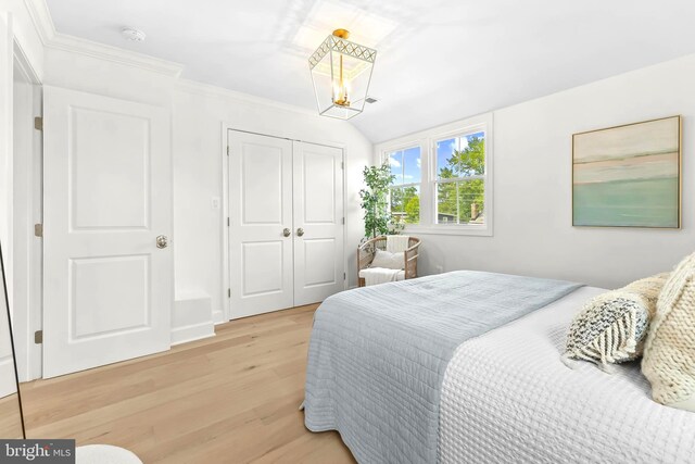 2402 E Randolph Ave, Alexandria, VA 22301 - bedroom featuring light wood finished floors, a chandelier, and a closet