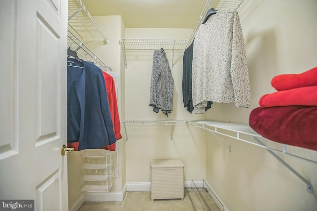 11 Birchwood Ct, Princeton, NJ 08540 - view of walk in closet