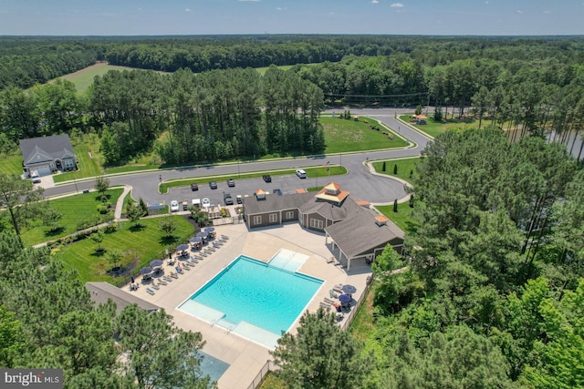 18208 Emerson Way, Georgetown, DE 19947 - aerial view of a heavily wooded area and a pool