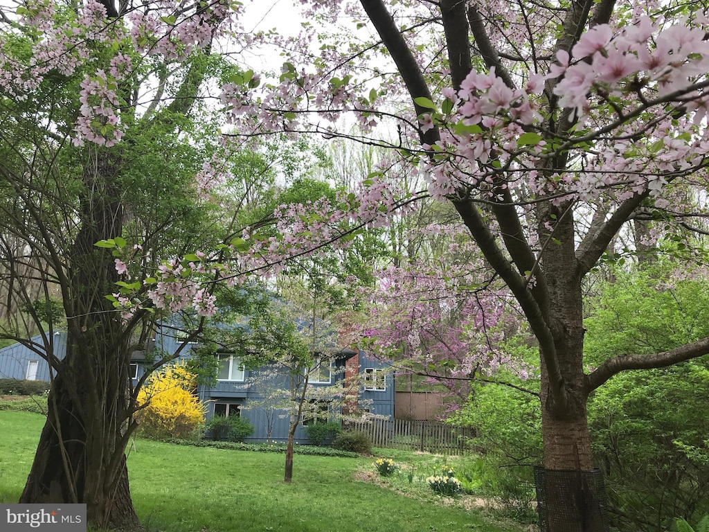 2 Fox Run Dr, Chadds Ford, PA 19317 - view of yard