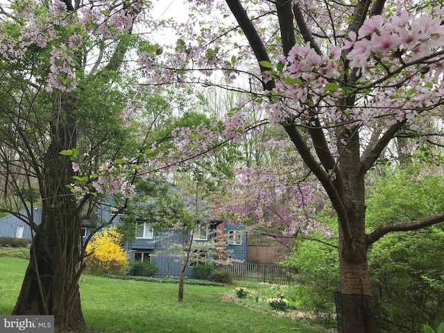 2 Fox Run Dr, Chadds Ford, PA 19317 - view of yard