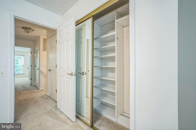 5932 Kimberly Anne Way, Alexandria, VA 22310 - view of closet