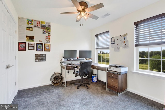 2536 Stoverstown Rd, Spring Grove, PA 17362 - home office with carpet, a ceiling fan, and baseboards