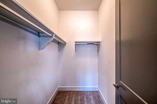 547 Webb Rd # Ad, Chadds Ford, PA 19317 - view of spacious closet
