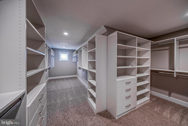 547 Webb Rd # Ad, Chadds Ford, PA 19317 - spacious closet with dark colored carpet