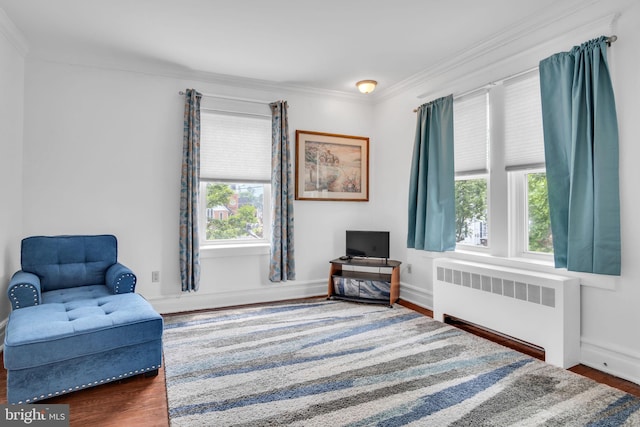 1749 Carrolls Tract Rd, Orrtanna, PA 17353 - living area with radiator heating unit, wood finished floors, ornamental molding, and baseboards