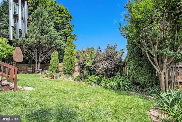 1749 Carrolls Tract Rd, Orrtanna, PA 17353 - view of yard