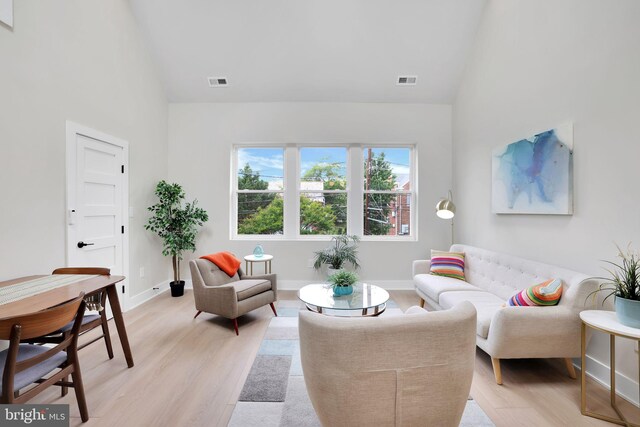 4019 9th St NE Unit 3, Washington, DC 20017 - living room with high vaulted ceiling, light wood-style floors, and baseboards