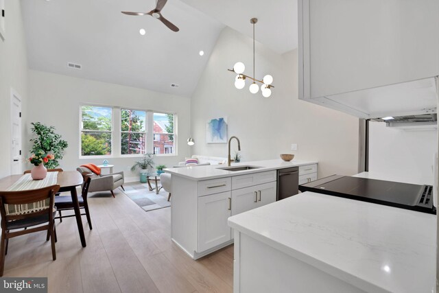 4019 9th St NE Unit 3, Washington, DC 20017 - kitchen with a sink, a peninsula, ceiling fan, light wood-style flooring, and pendant lighting