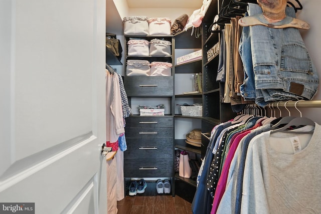 2069 Alder Ln, Dumfries, VA 22026 - spacious closet with wood finished floors