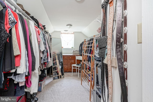 201 Morton, Rosenhayn, NJ 08352 - spacious closet with vaulted ceiling and carpet
