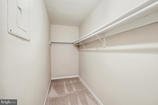 203 Cork Ln Unit 103, Reisterstown, MD 21136 - spacious closet with carpet and electric panel