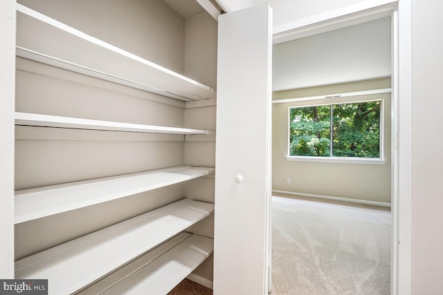 203 Cork Ln Unit 103, Reisterstown, MD 21136 - view of closet
