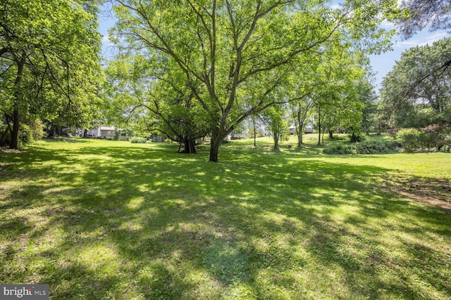 404 Clear Ridge Rd, Union Bridge, MD 21791 - view of grassy yard