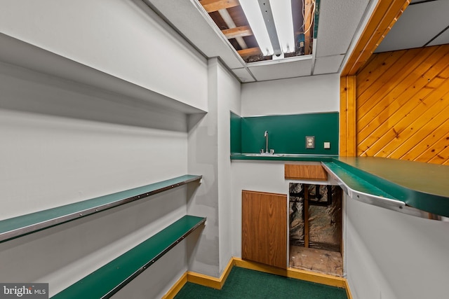 1040 Muscovy Ln, Bensalem, PA 19020 - bar area with a sink, wood walls, and carpet floors