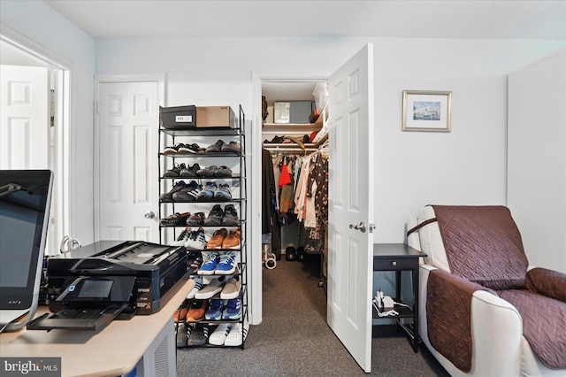7100 Cipriano Springs Dr, Lanham, MD 20706 - spacious closet with carpet