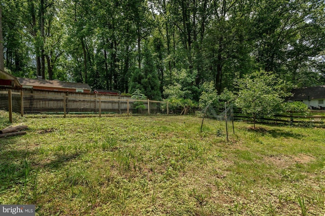 12820 Maple St, Silver Spring, MD 20904 - view of yard