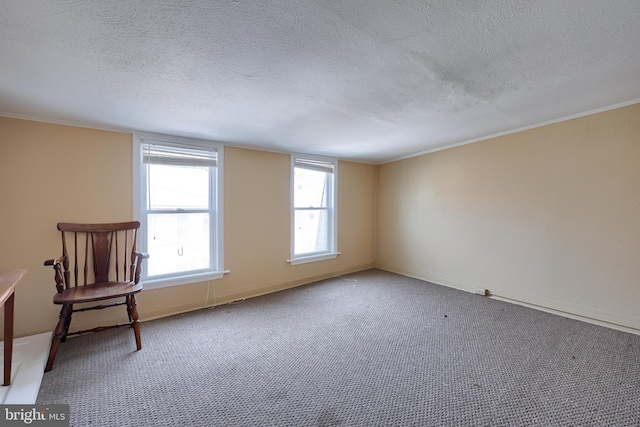 125 S 3rd St, Lebanon, PA 17042 - empty room with a textured ceiling, carpet, and crown molding