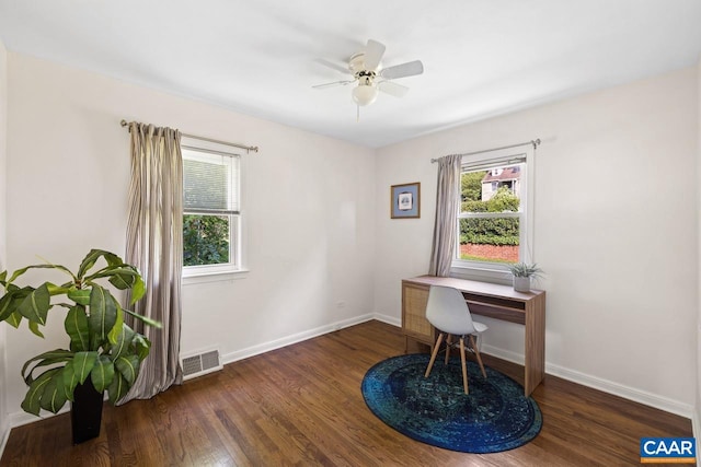 1007 Saint Charles Ave, Charlottesville, VA 22901 - office featuring plenty of natural light, wood finished floors, and ceiling fan