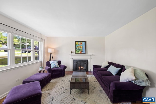 1007 Saint Charles Ave, Charlottesville, VA 22901 - living room featuring a lit fireplace, wood finished floors, and baseboards
