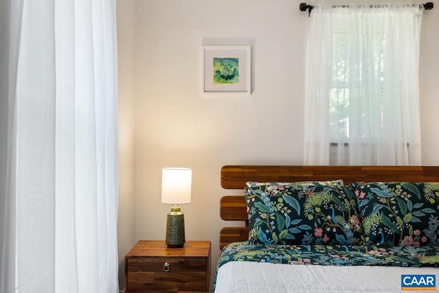 1007 Saint Charles Ave, Charlottesville, VA 22901 - bedroom with multiple windows