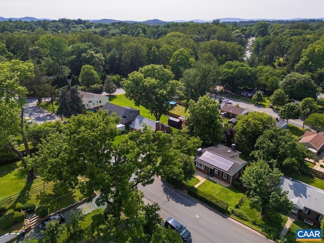 1007 Saint Charles Ave, Charlottesville, VA 22901 - drone / aerial view of a forest
