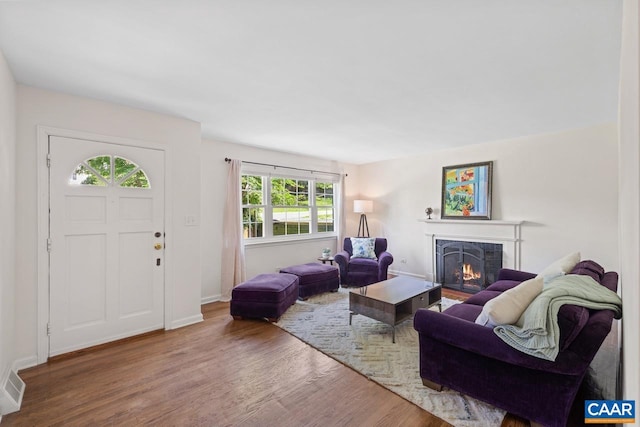 1007 Saint Charles Ave, Charlottesville, VA 22901 - living room featuring wood finished floors, a lit fireplace, and baseboards