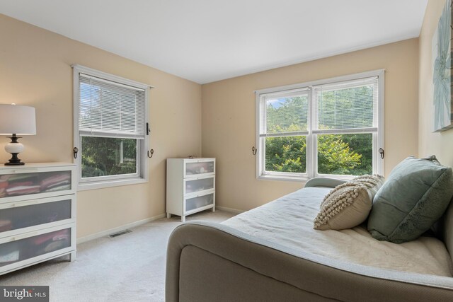 108 Partridge Way, Landenberg, PA 19350 - carpeted bedroom featuring multiple windows