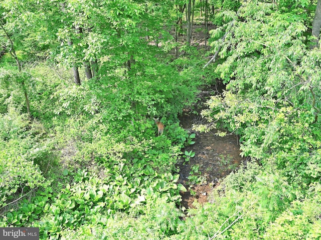 1026 Indian Dr, Auburn, PA 17922 - view of local wilderness