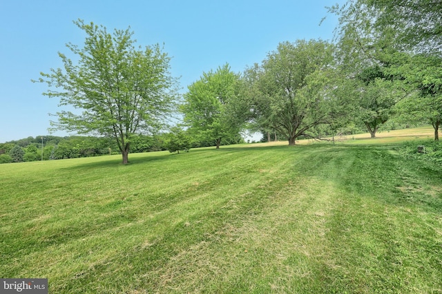 3314 Skyview Dr, Glenville, PA 17329 - view of grassy yard