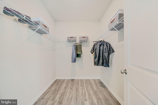 9563 Jefferson St, Manassas, VA 20110 - walk in closet with wood finished floors