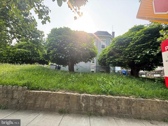 236 Randolph Pl NE, Washington, DC 20002 - view of yard