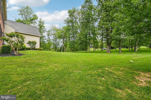 2425 Ellies Way W, Friendship, MD 21794 - view of grassy yard